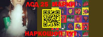 прущие грибы Нальчик