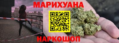 прущие грибы Нальчик