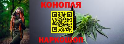 прущие грибы Нальчик