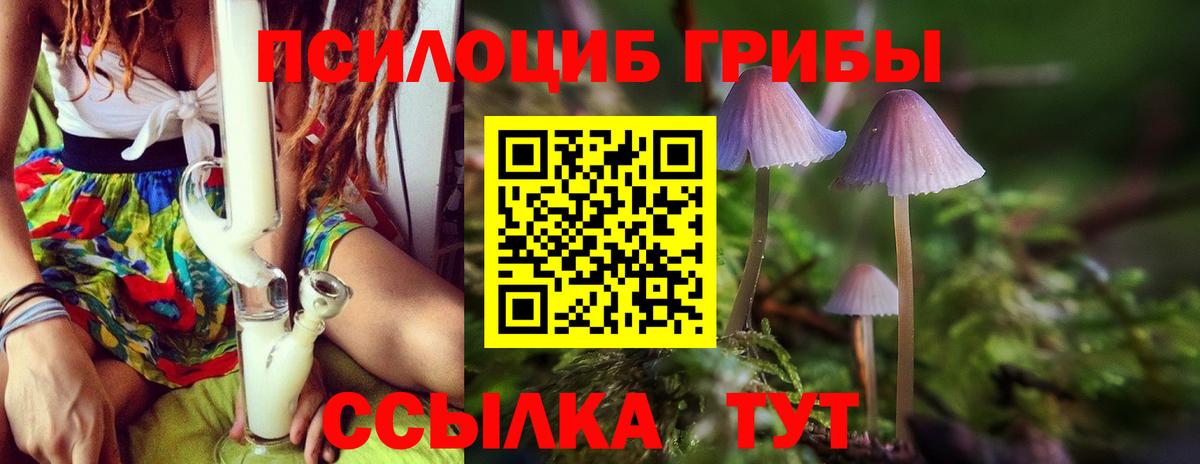 Псилоцибиновые грибы Psilocybine cubensis  Галлюциногенные грибы Psilocybe  купить закладку  Соль-Илецк  Вход с VPN 
